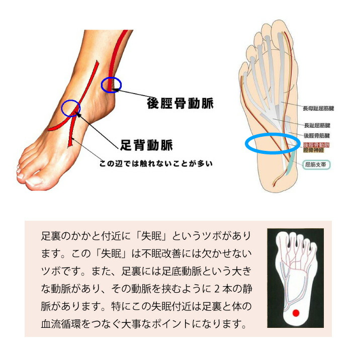 楽天市場】【クーポンで3000円OFF！3/11AM1:59まで】エナジーラバー