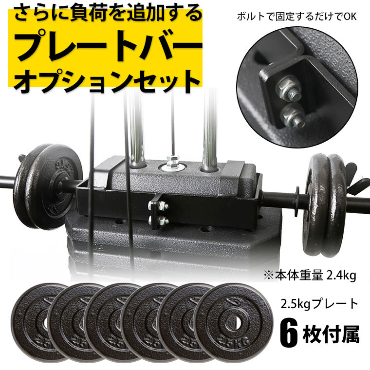 楽天市場】【期間限定ポイント10倍】ホームジムDX プレートバー