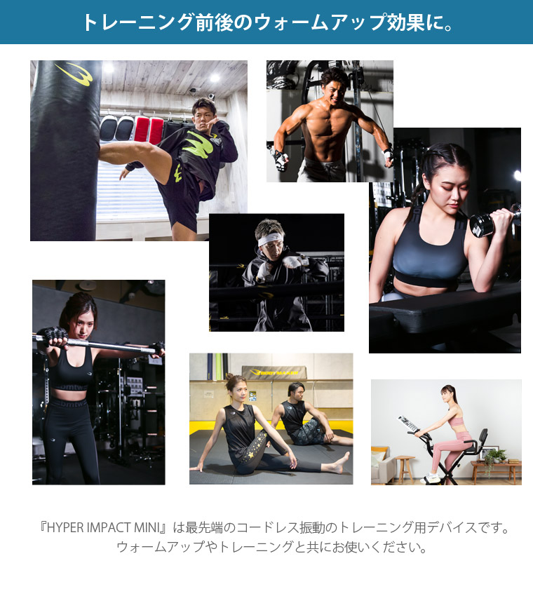 楽天市場】【期間限定ポイント10倍】HYPER IMPACT mini BODYMAKER