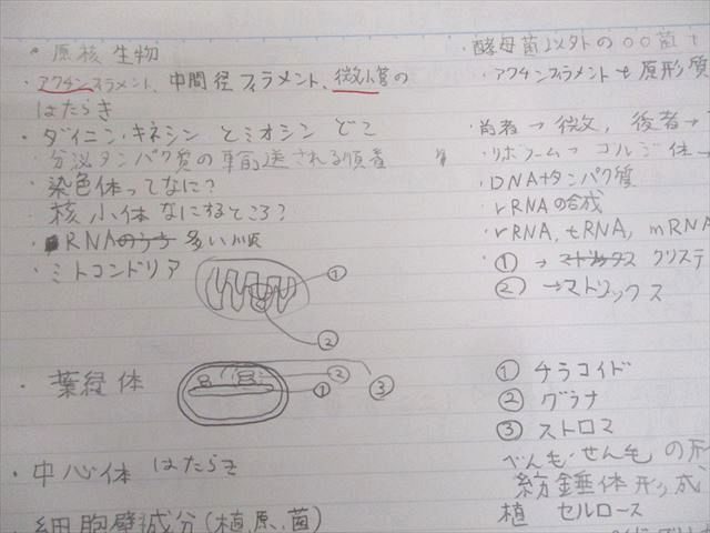 楽天市場】河合塾 東京大学 ハイパー東大生物(演習編) テキスト通年