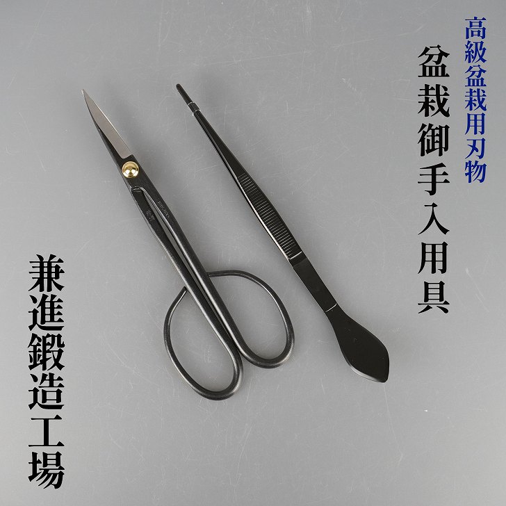 兼進 高級盆栽用 盆栽道具 2点セット（小枝切鋏＋ピンセット）JSB50
