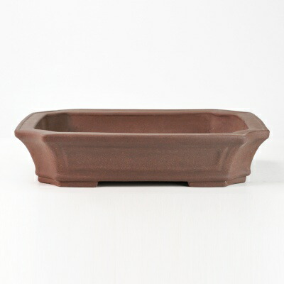 鉢 盆栽鉢 12号」の人気商品一覧 | 安い商品を通販サイトから探す