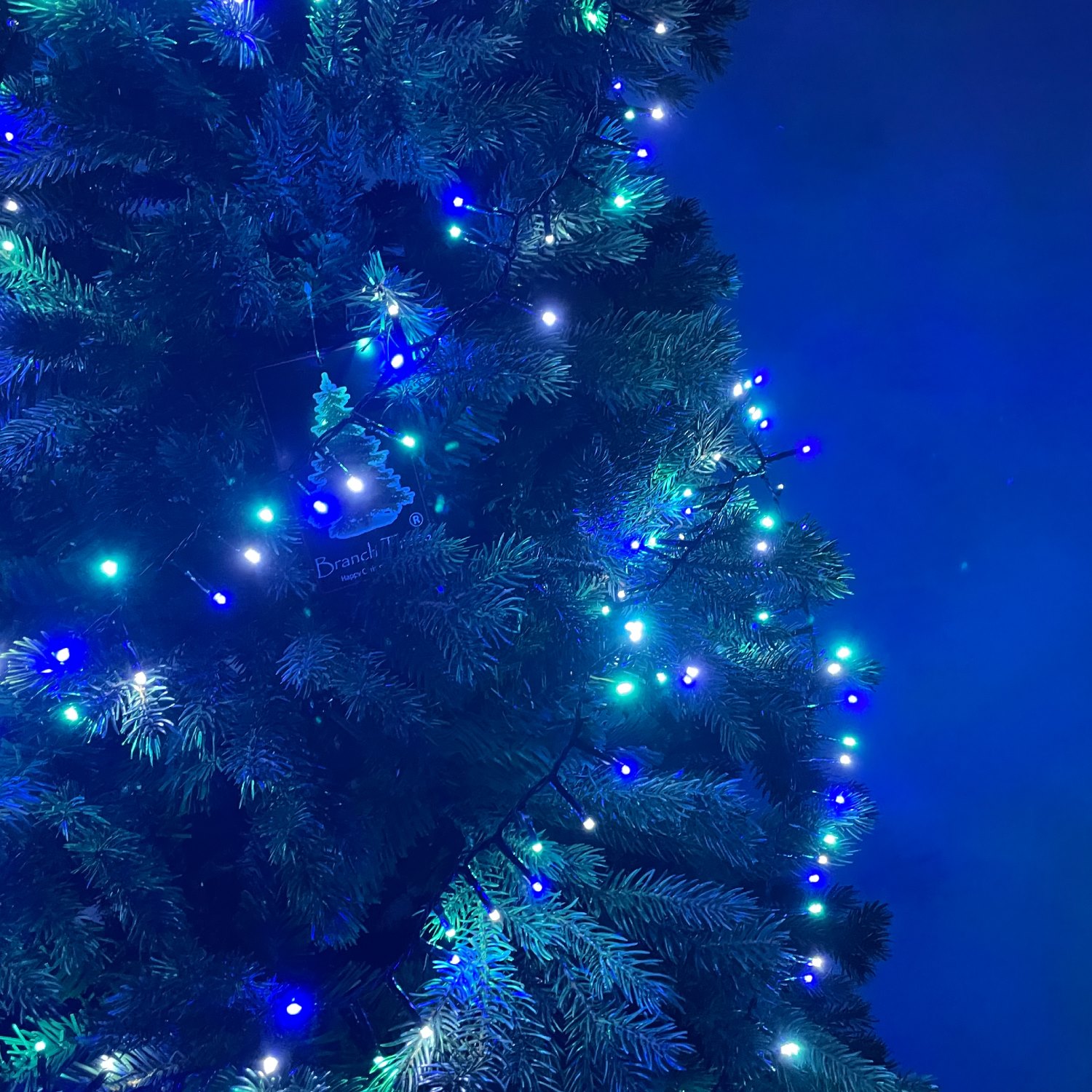 楽天市場】Branch Trees® LED イルミネーション ライト 3色構成 収納