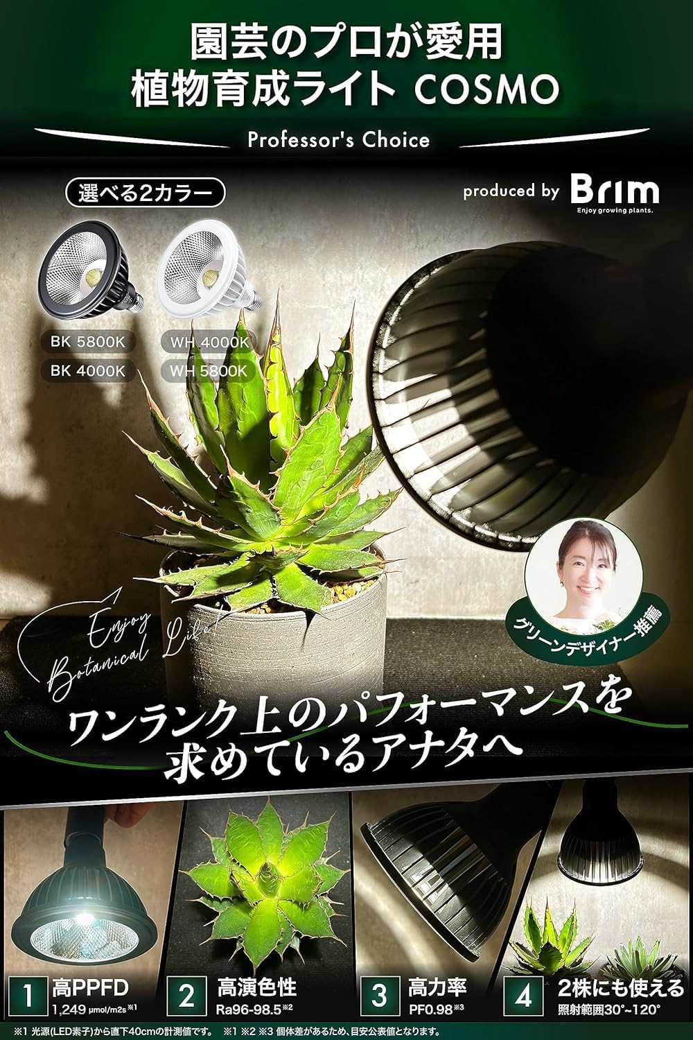 楽天市場】【SS限定クーポン配布中 | Pt5倍】BRIM(ブリム) 公式店