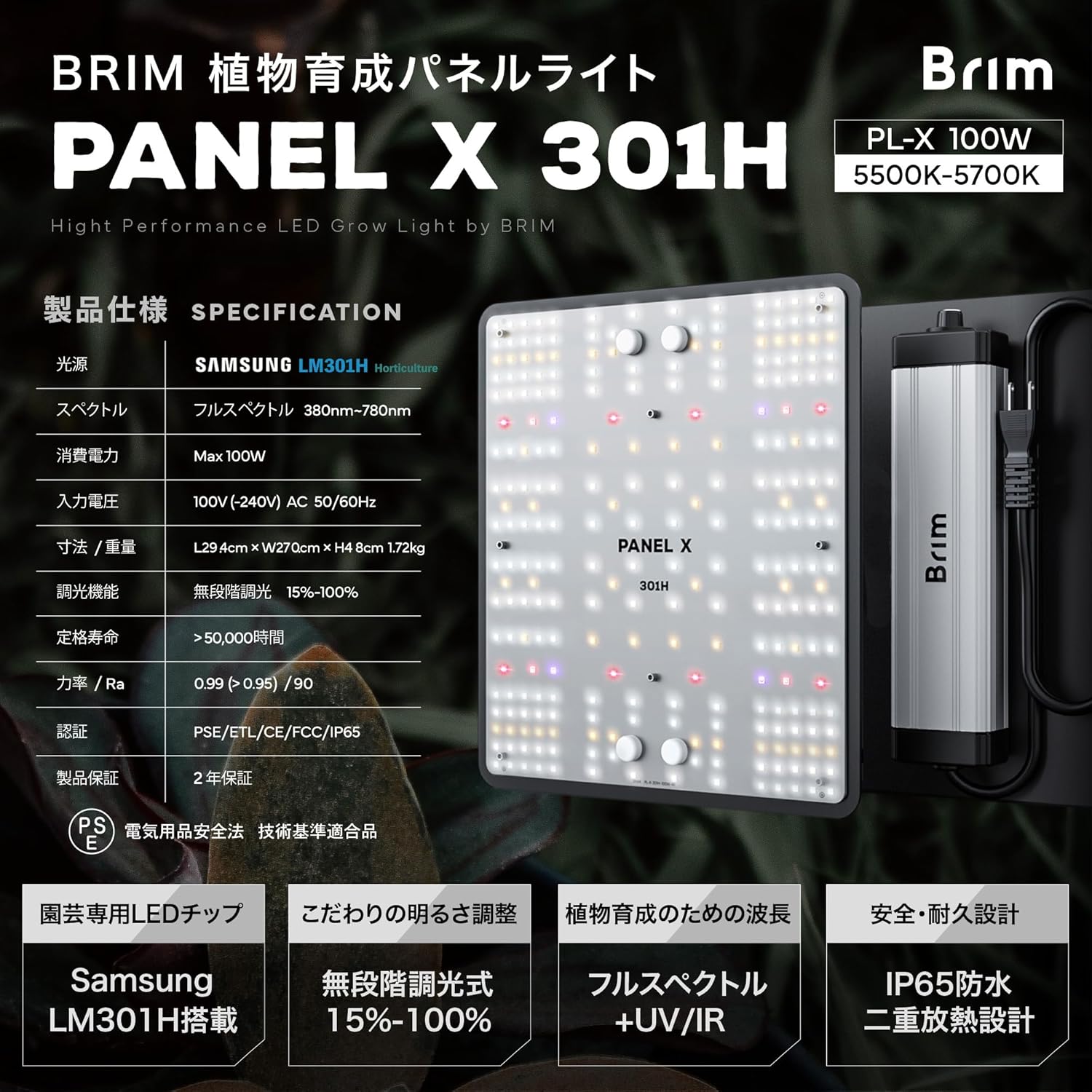 楽天市場】【SS限定クーポン配布中 | Pt5倍】BRIM(ブリム) PANEL X