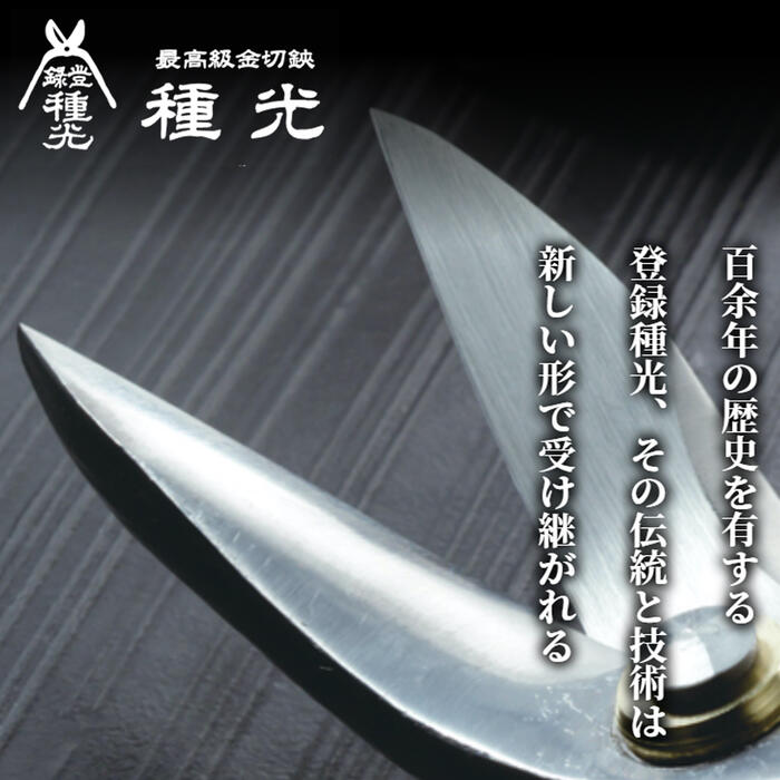 楽天市場】種光 ワールドワン 中厚柳刃 270mm ハイス鋼 SKH-2 種類限定