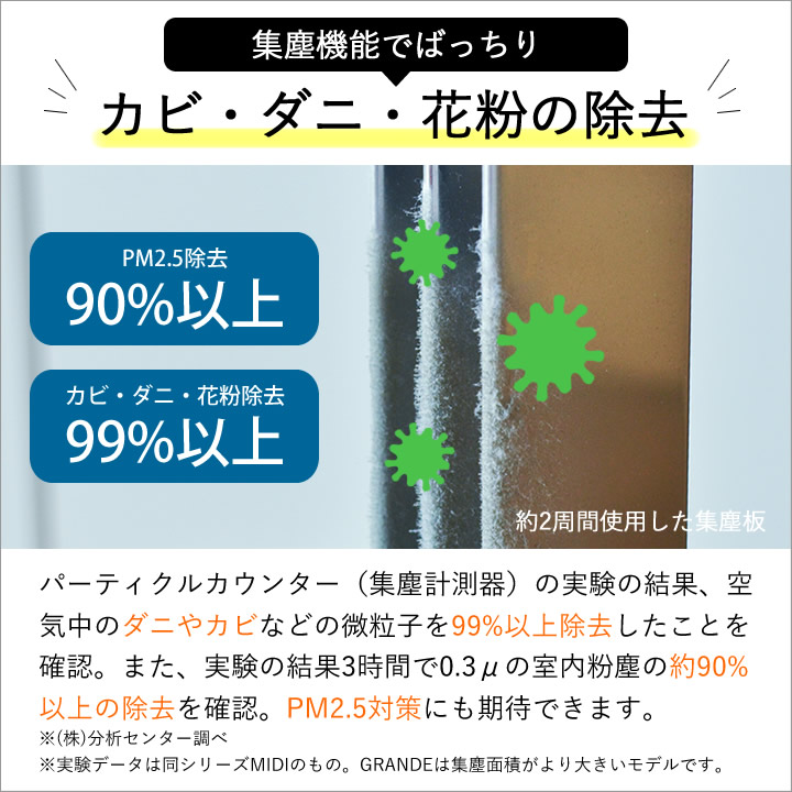 楽天市場】3点で9%OFFクーポン対象 【 イオニックブリーズ GRANDE