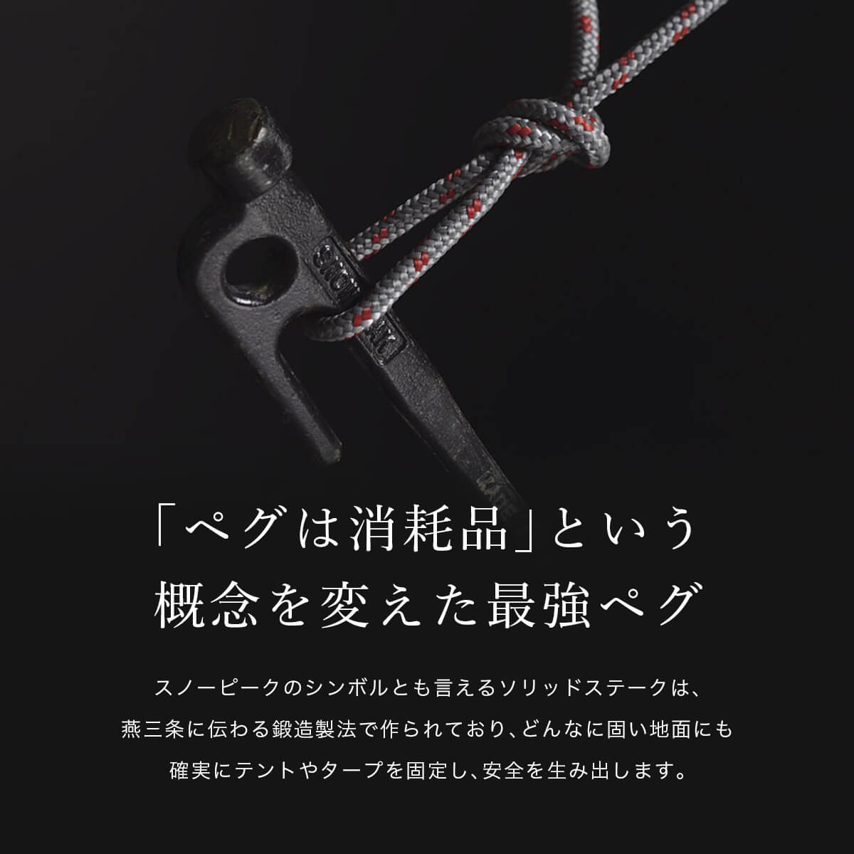 楽天市場】スノーピーク ソリッドステーク30 6本セット snow peak