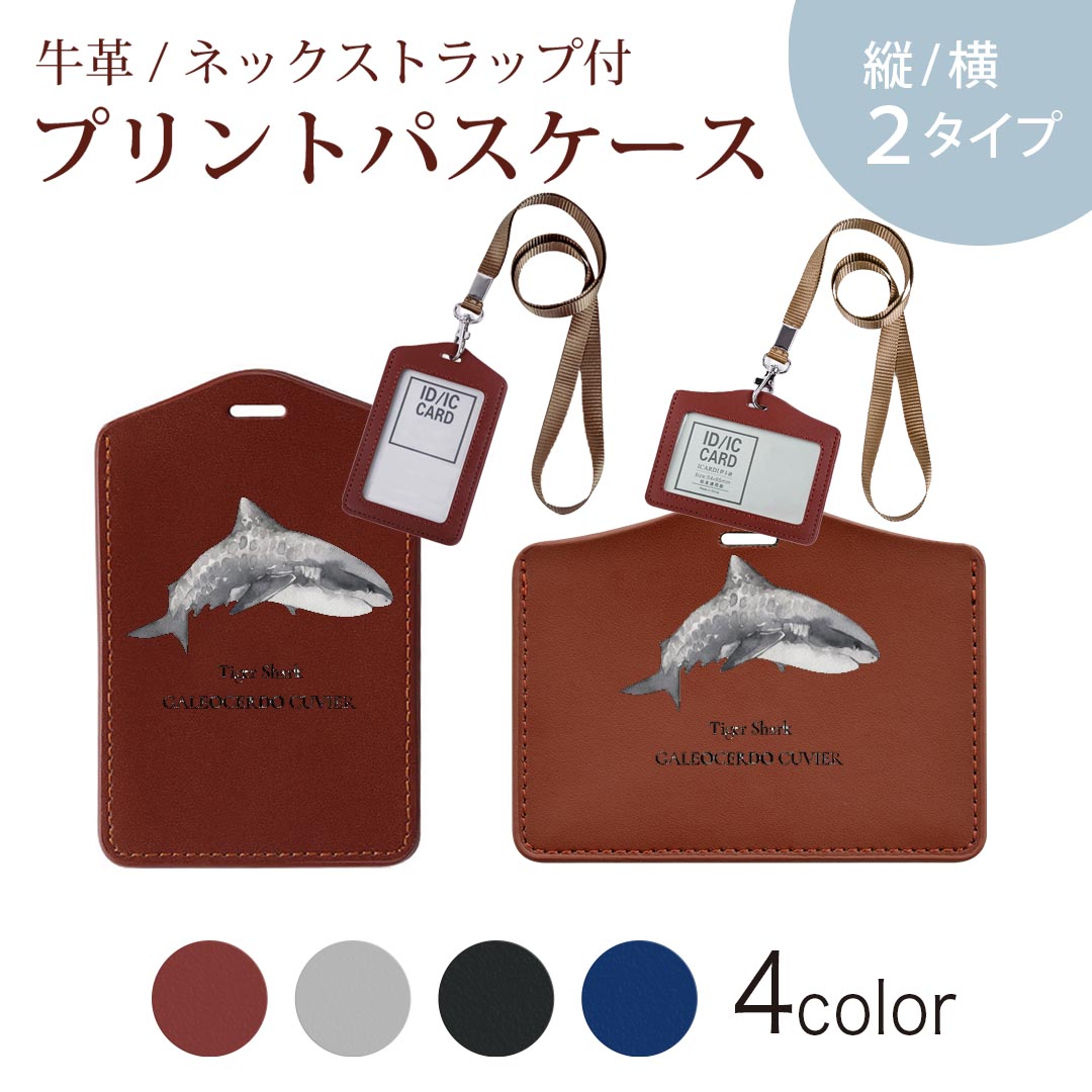 楽天市場】サメ パスケース（バッグ・小物・ブランド雑貨）の通販