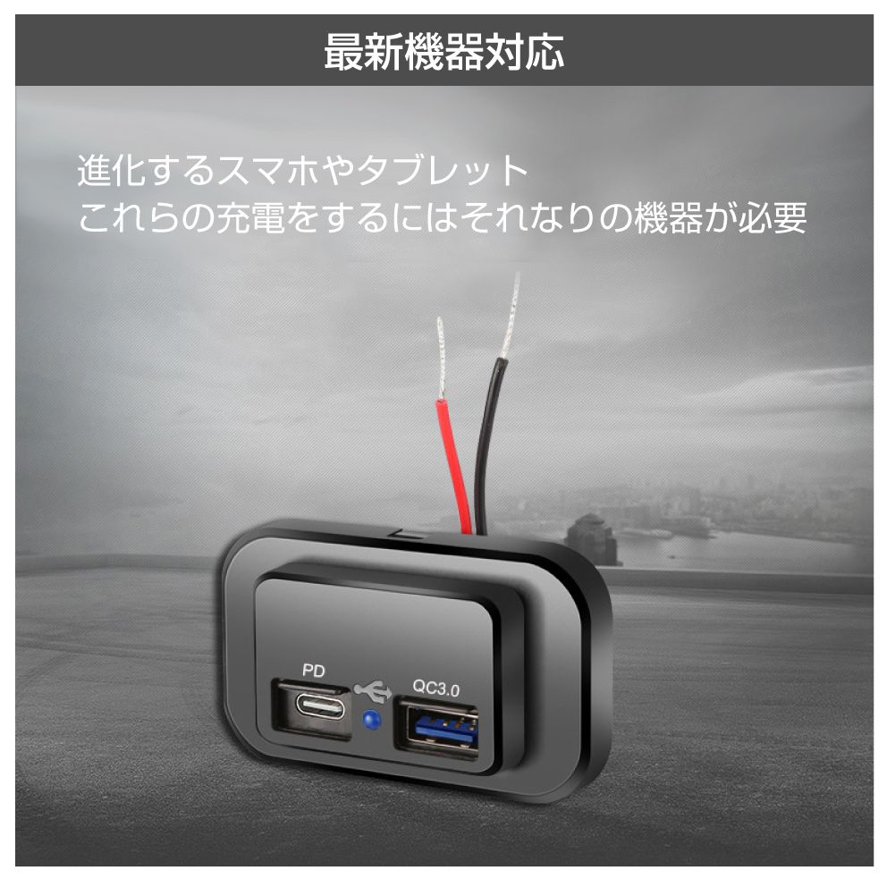 楽天市場】キャンピングカーパーツ シャッター付き USBパネル TypeC PD