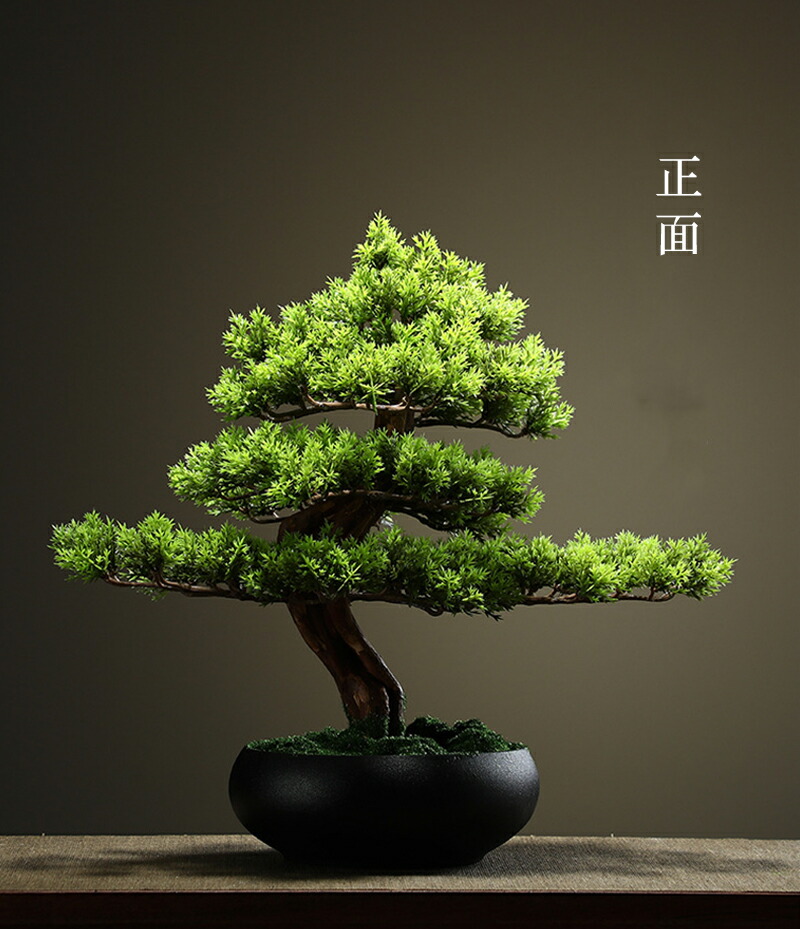 楽天市場】【5日限定10%OFFクーポン】人工観葉植物 人工植物 盆栽 松