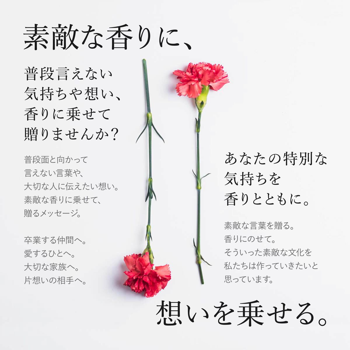 楽天市場】【名入れ対応】 クロエ 香水 50ml レディース EDP