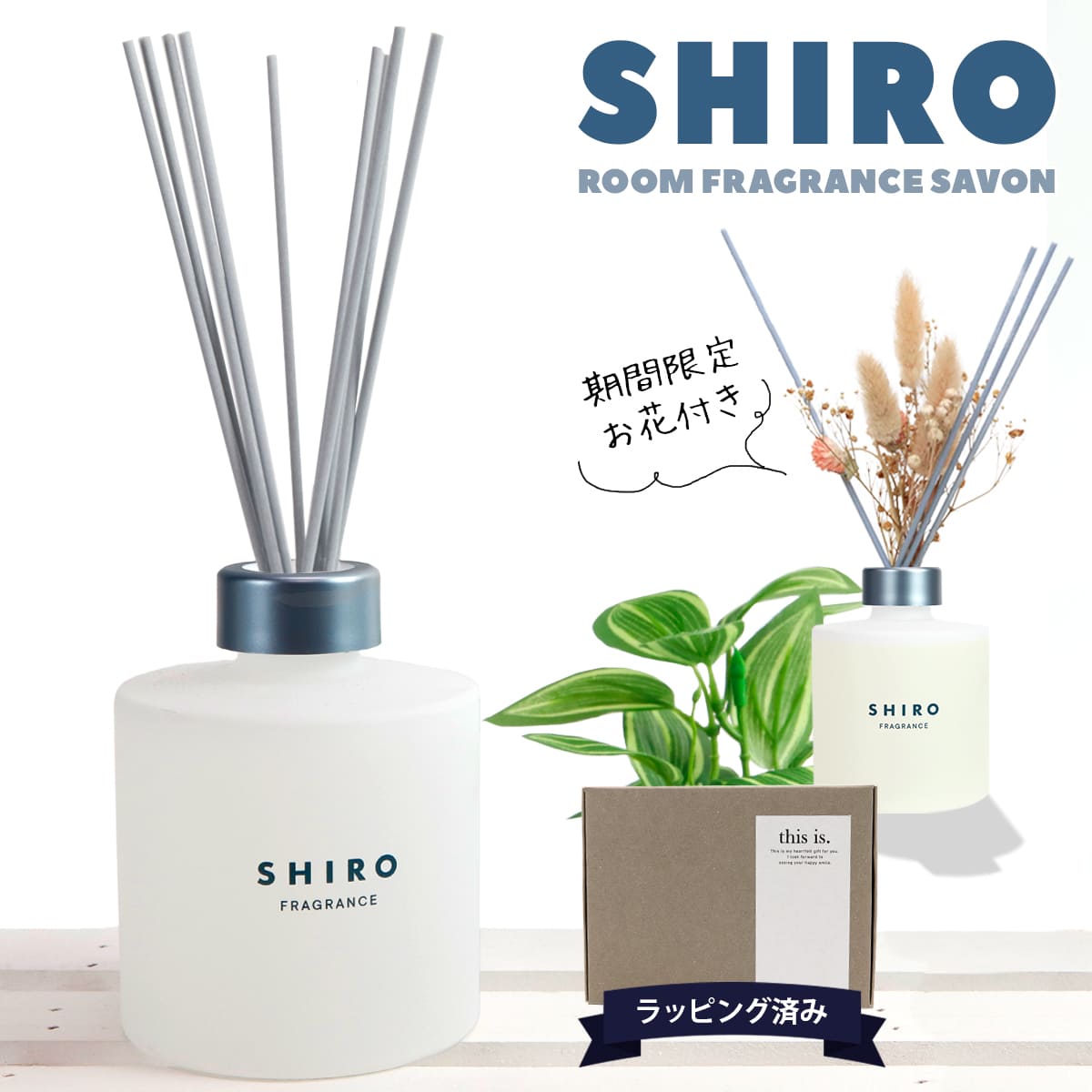 楽天市場】【期間限定 彩るお花付き】 shiro ルーム フレグランス