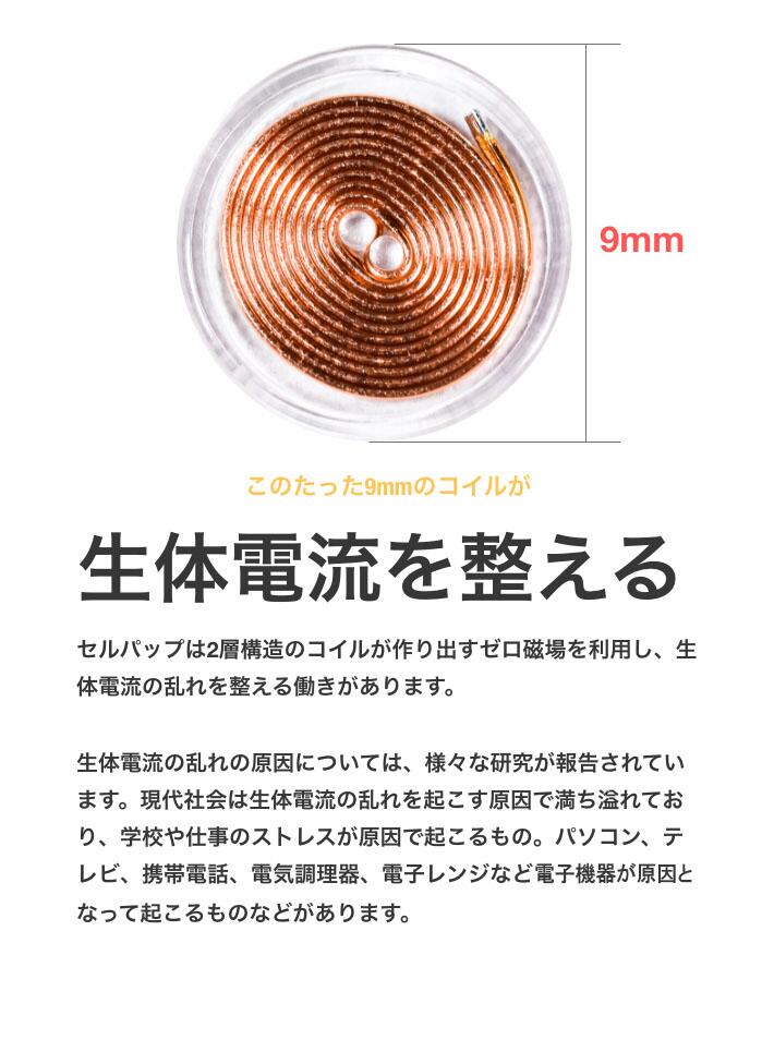 楽天市場】セルパップ ゼロ磁場アーシング マット100 : セルパップ