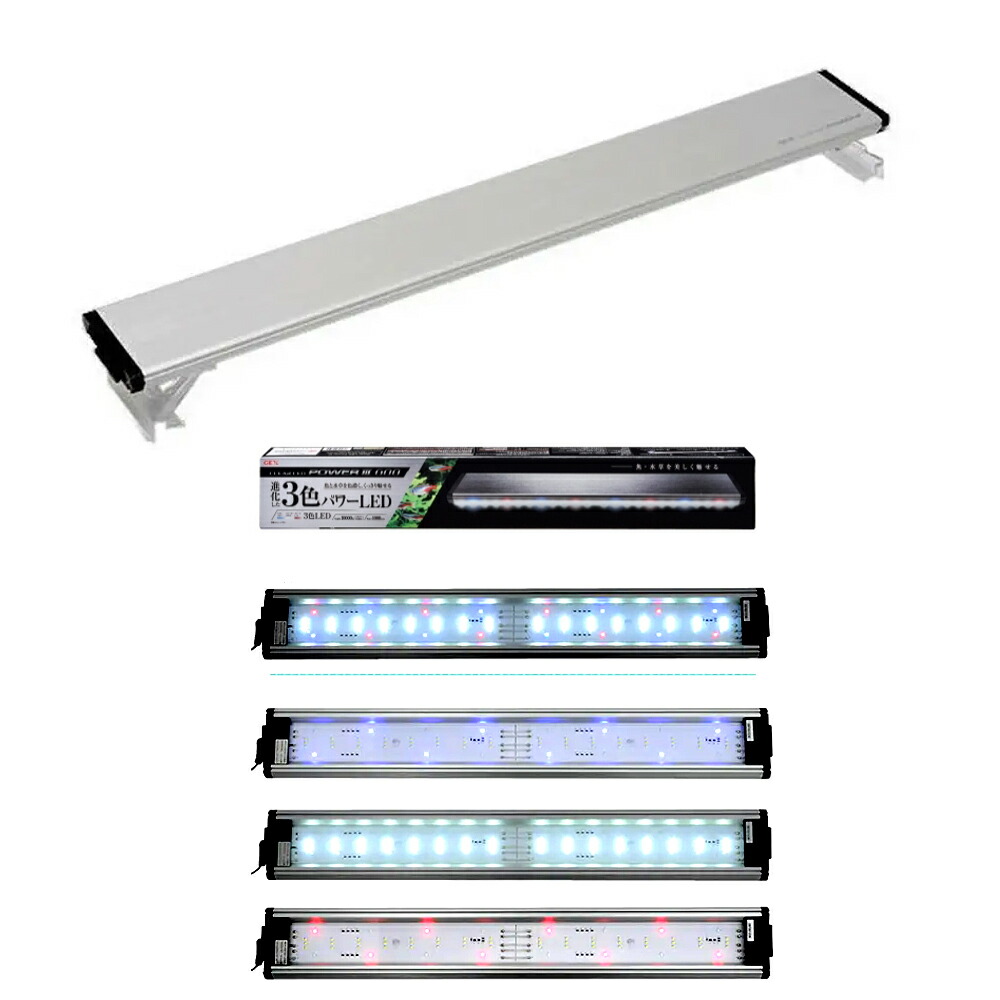 楽天市場】【3／5限定】当選確率2分の1！1等最大100％ GEX