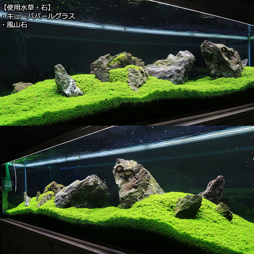 楽天市場】形状お任せ 風山石 サイズミックス 3kg 国産品 30cm