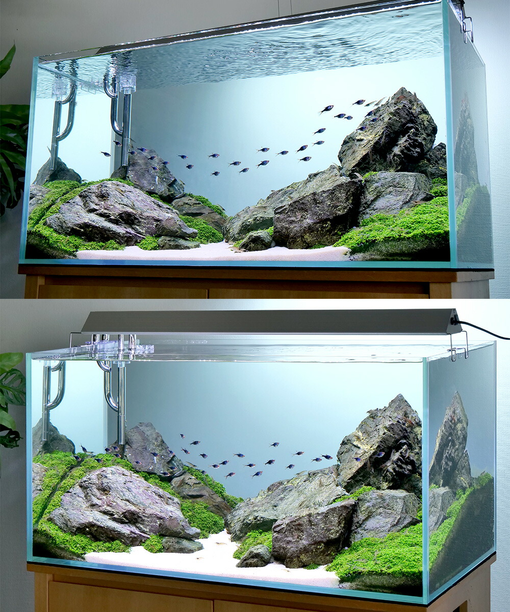 楽天市場】形状お任せ 風山石 MLサイズ（約15〜20cm） 1個