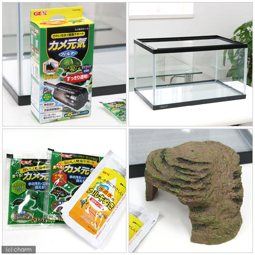 楽天市場】GEX カメの楽園 450 カメ元気 カメ飼育セット お一