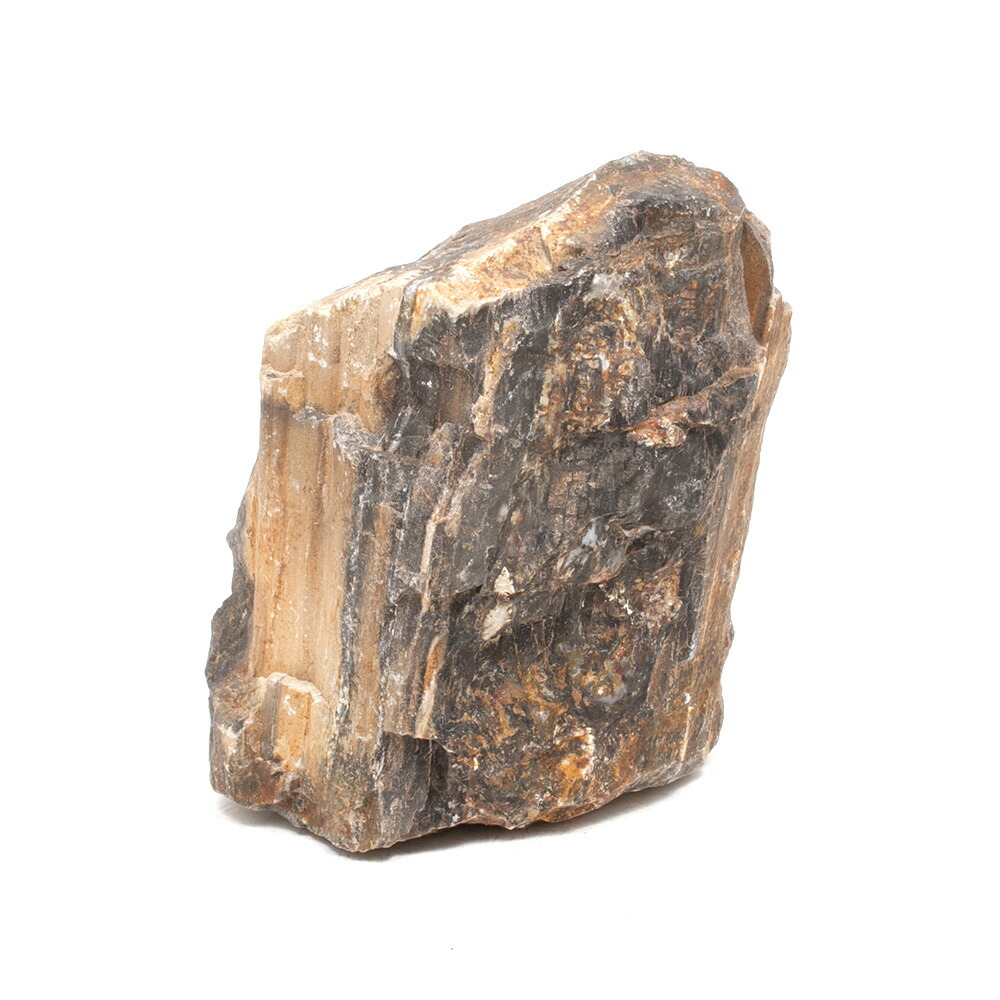 楽天市場】形状お任せ 木化石 Lサイズ（約18〜23cm） 1個