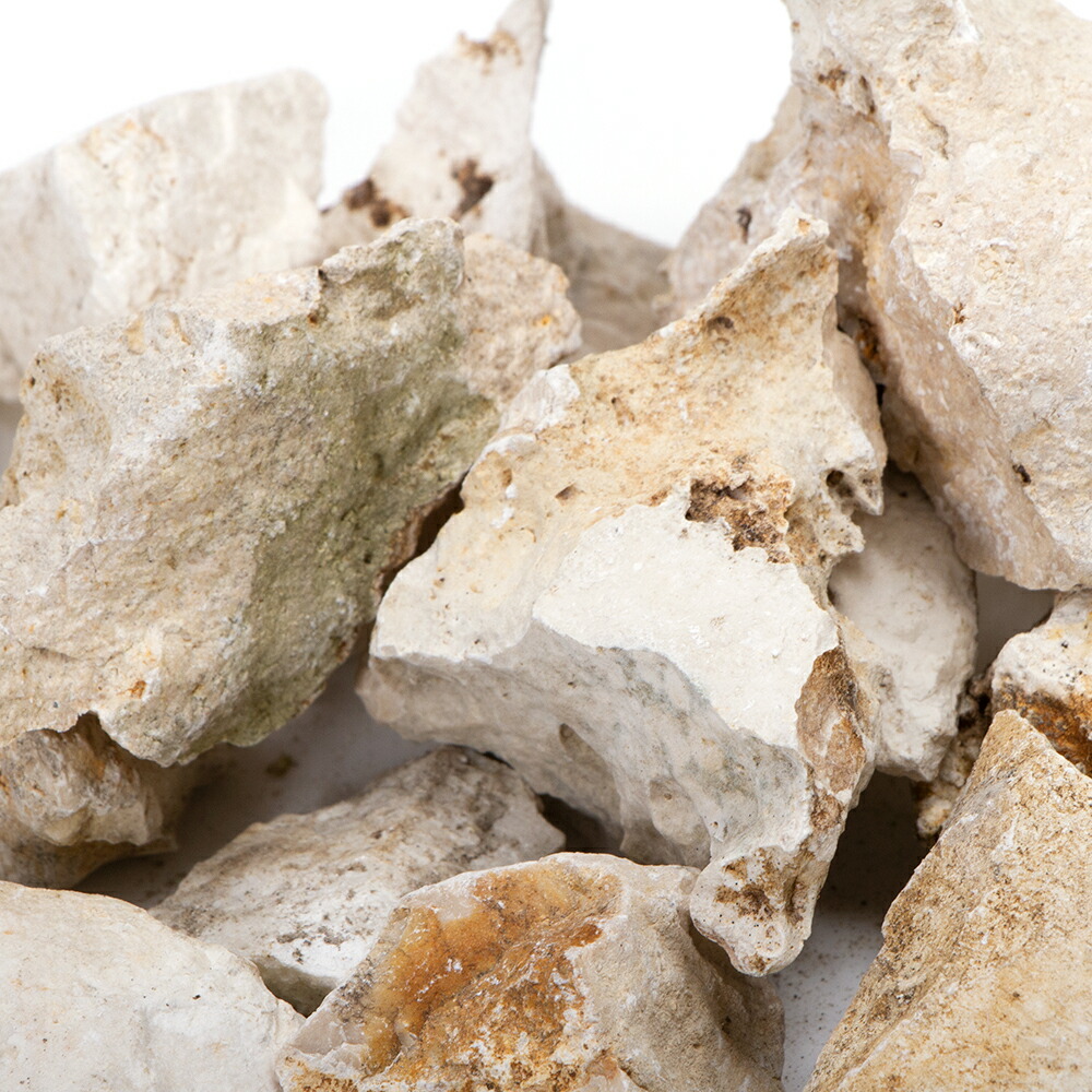 楽天市場】形状お任せ 化石サンゴ スモールサイズミックス（約2