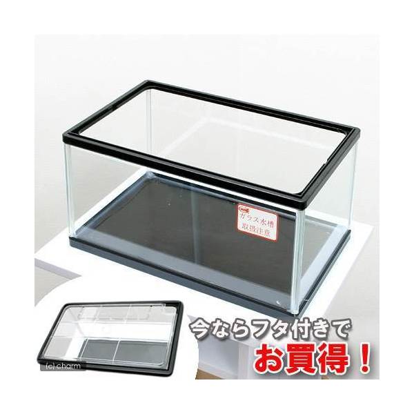 楽天市場】亀水槽 フタ付き 鈴木製作所 カメ水槽300（310×190