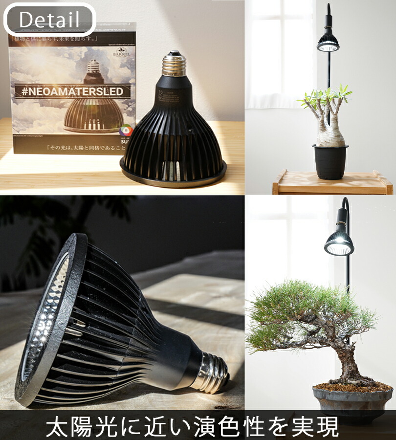 楽天市場】【スーパーSALEで使える!500円OFFクーポン配布中!】NEO