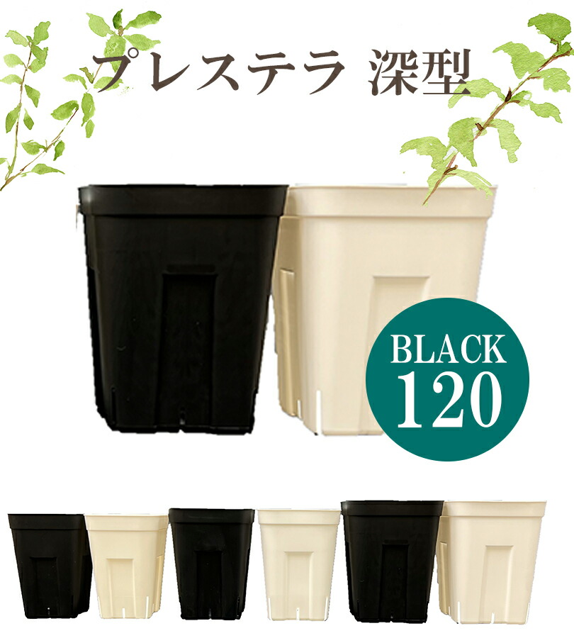 楽天市場】【スーパーSALEで使える!500円OFFクーポン配布中!】鉢