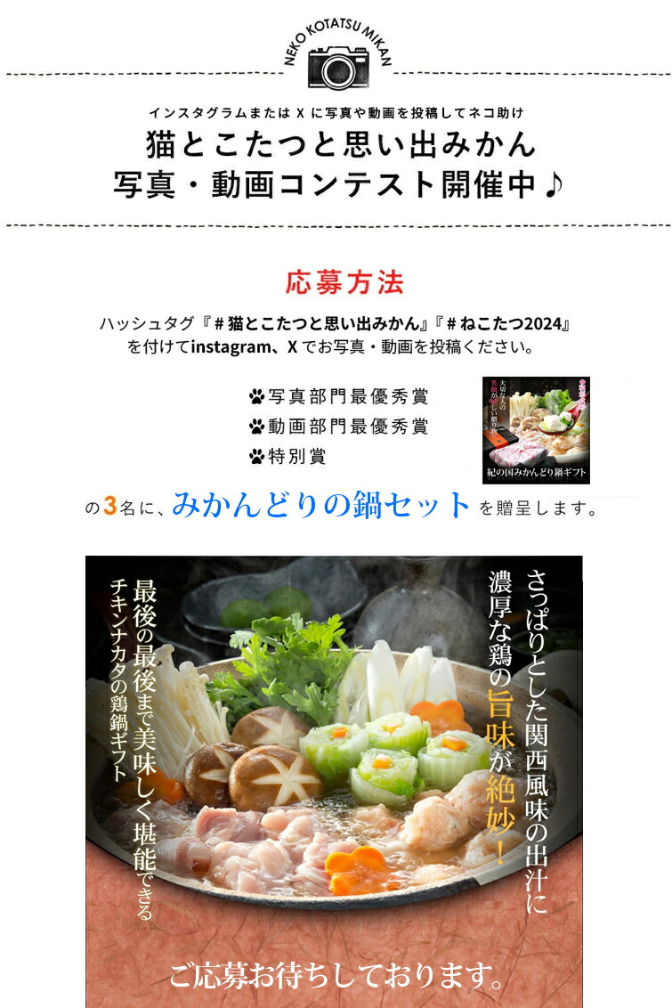 楽天市場】『 猫と、こたつと、思い出みかん。』日本初 猫専用こたつ付