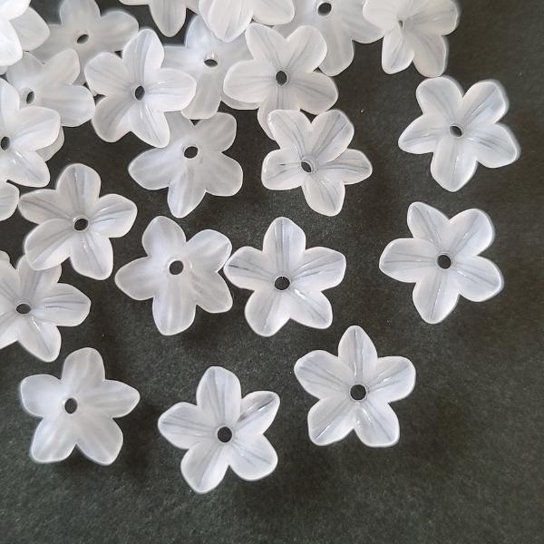 楽天市場】白いペンタス 5枚花びら 【60個前後 11mm】 フラワービーズ