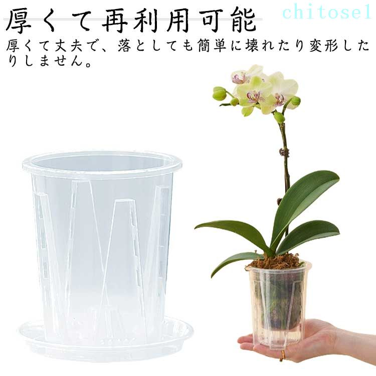 蘭 鉢 ガーデニング」の人気商品一覧 | 安い商品を通販サイトから探す