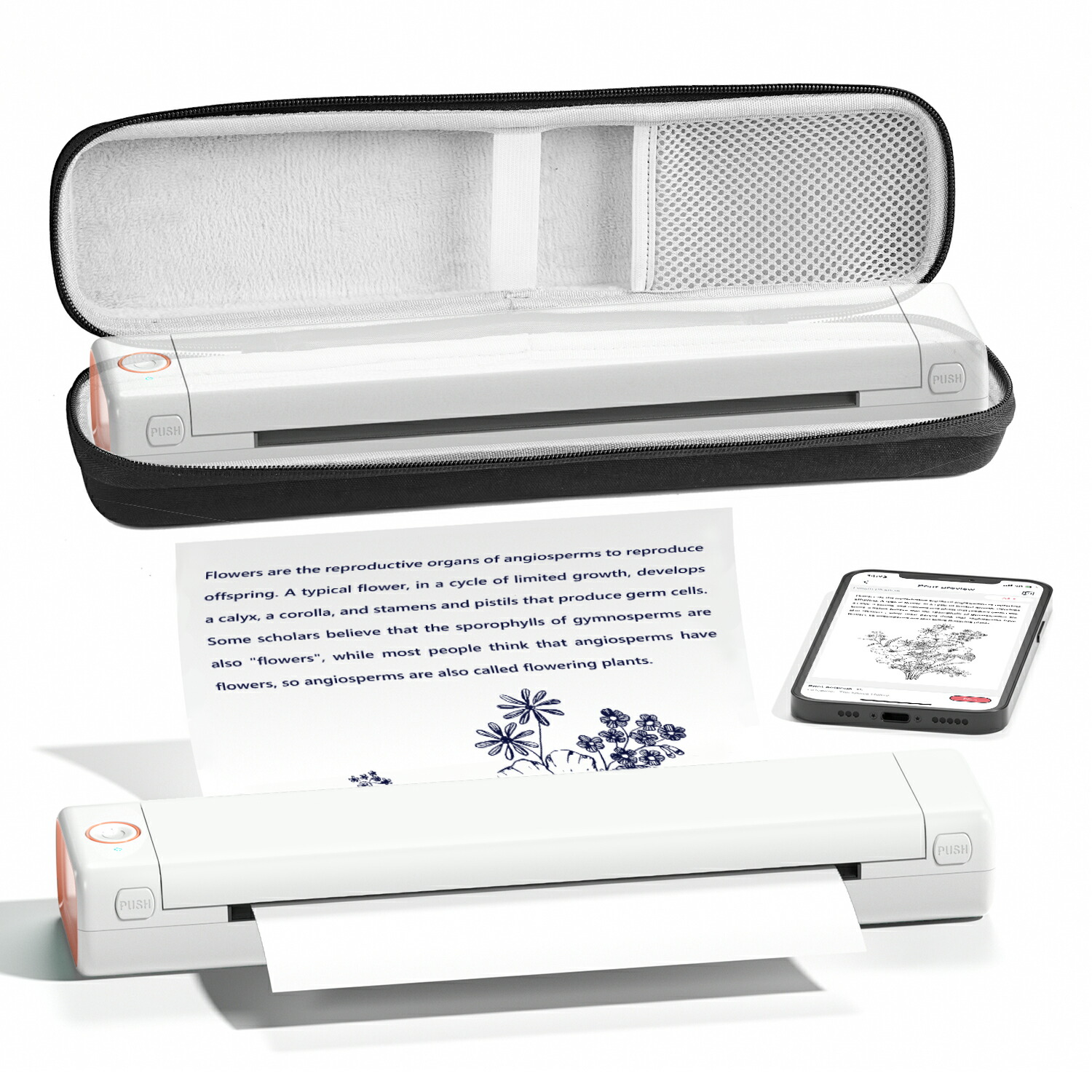 楽天市場】【限定クーポン最大10％オフ】【ランキング第1位獲得