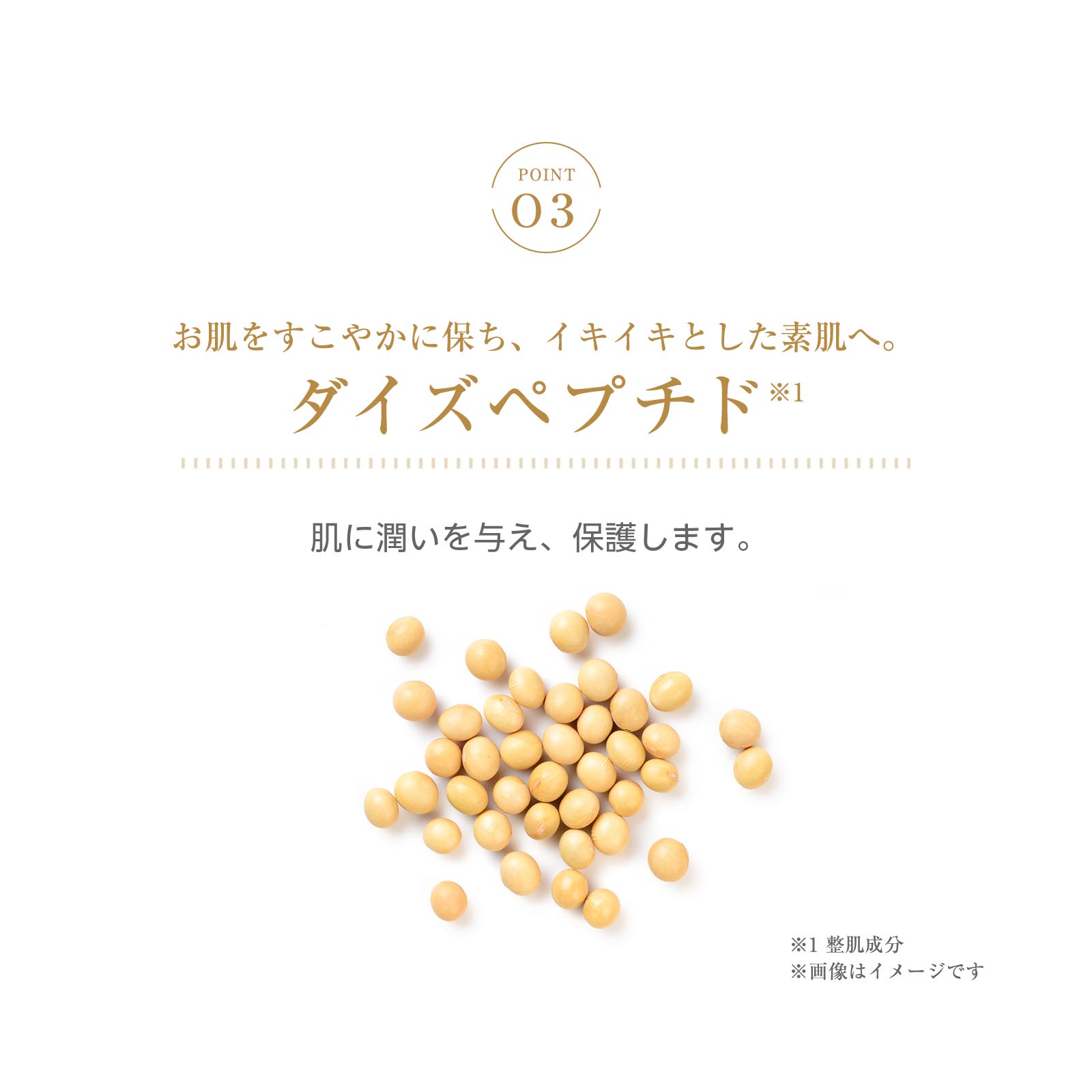 楽天市場】Cリッチクリーム【シーズ・ラボ公式】化粧水 クリーム 乳液