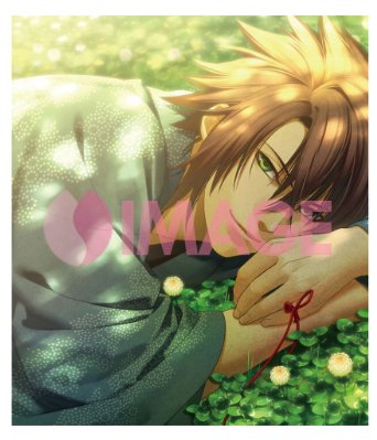 楽天市場】オトメイトスチルコレクション専用バインダー 薄桜鬼 沖田