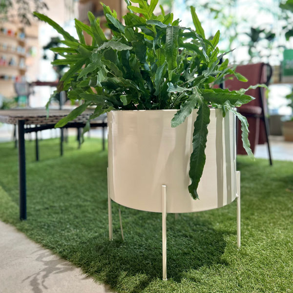 楽天市場】Hubsch(ヒュプシュ) エアリープランターラージ Φ42 ホワイト