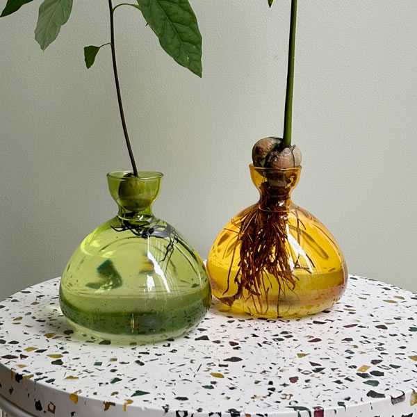 楽天市場】ILEX STUDIO(アイレックススタジオ) アボカドベース メロー