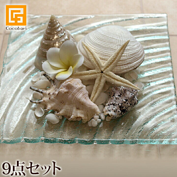 楽天市場】貝殻のリゾートコーデ9点セット 【 インテリア オブジェ 海