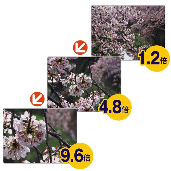 楽天市場】キヤノン 望遠鏡型カメラコンパクト デジタルフォトフレーム