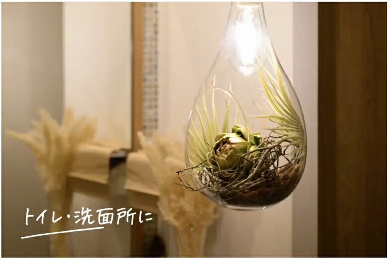 楽天市場】【正規品】アナザーガーデン ボタニックハンギングライト