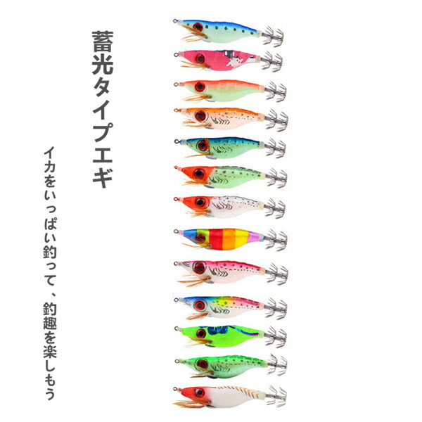 楽天市場】エギング 10点セット 20本セット 2.5号 ルアー エギ 餌木