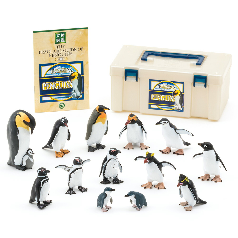 楽天市場】ペンギン フィギュア リアル 立体図鑑 ペンギンボックス 12