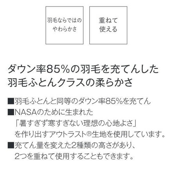 楽天市場】[最大400円OFFクーポン配布中] サータ ダウンピロー P-916 S