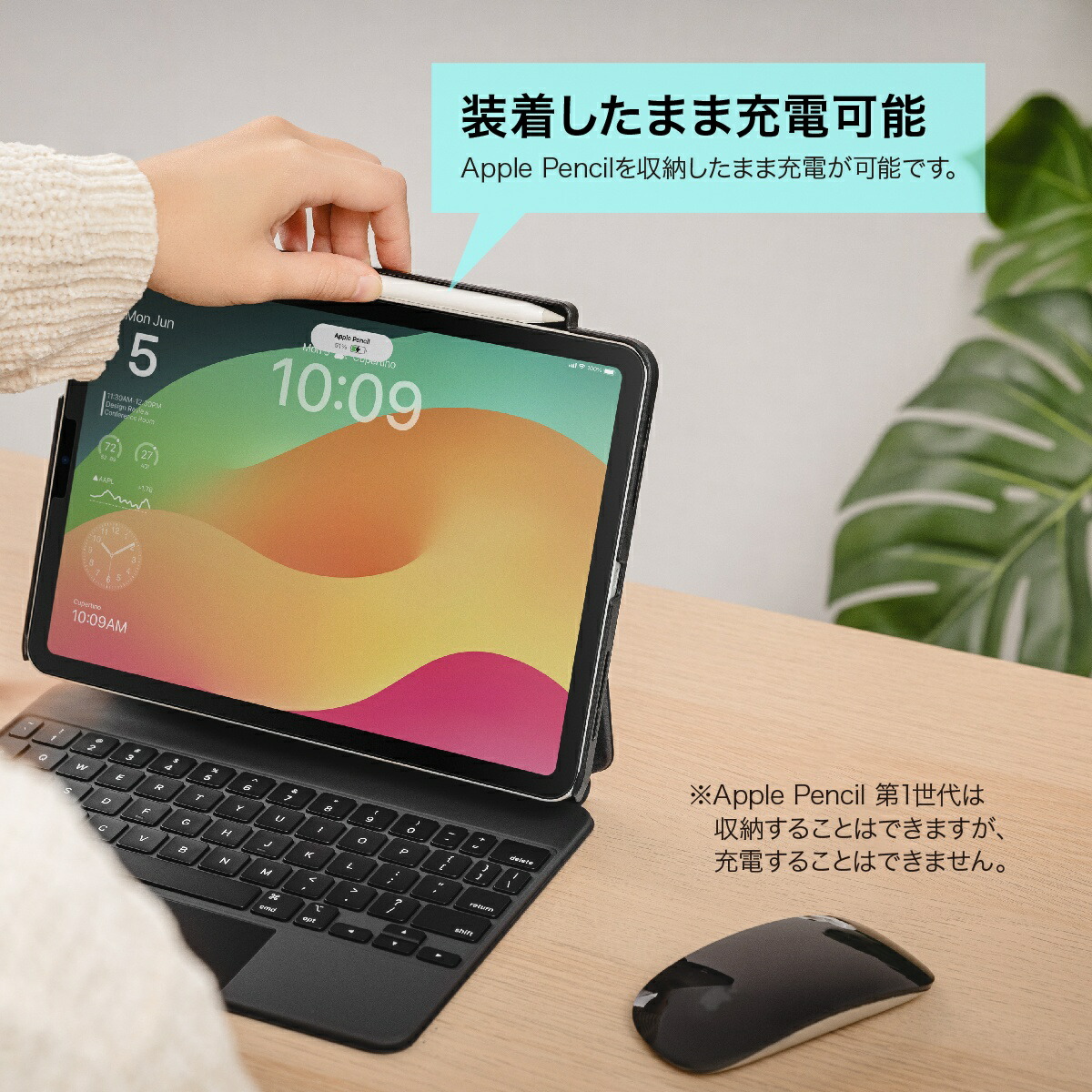 楽天市場】iPad Air M3 2025 11インチ 10.9 iPad Pro 11 ケース 純正