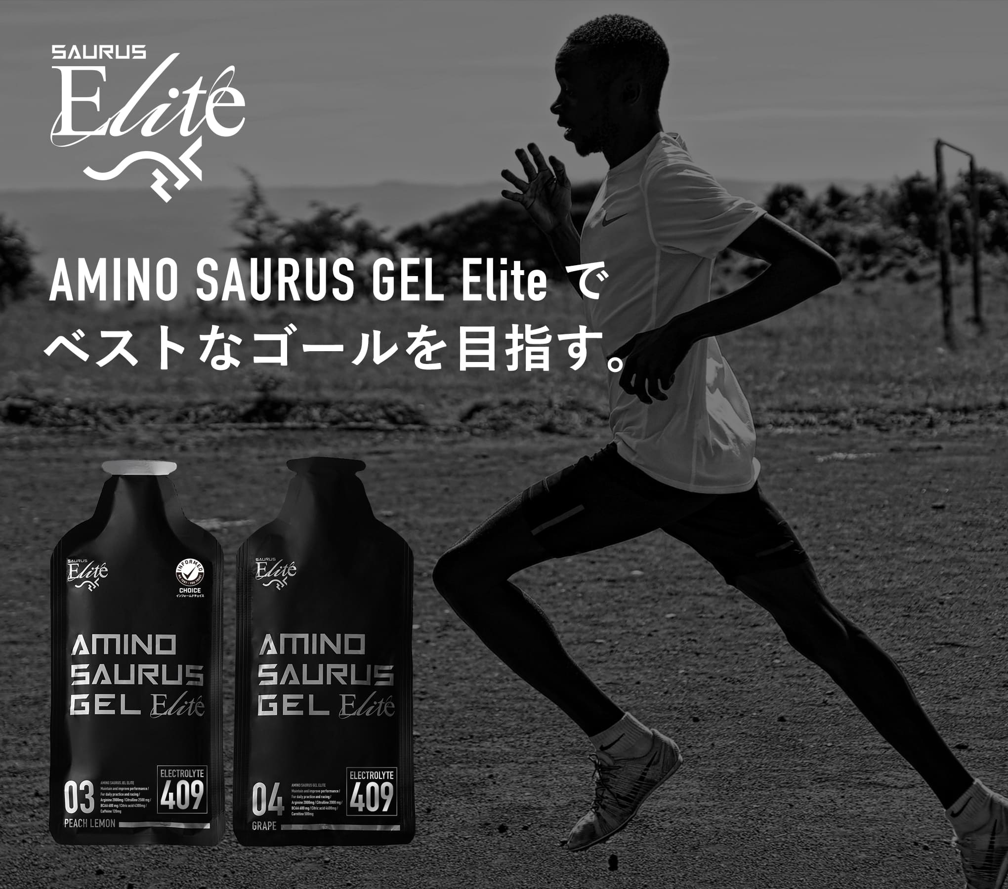 楽天市場】AMINOSAURUS GEL アミノサウルス ジェル エリート