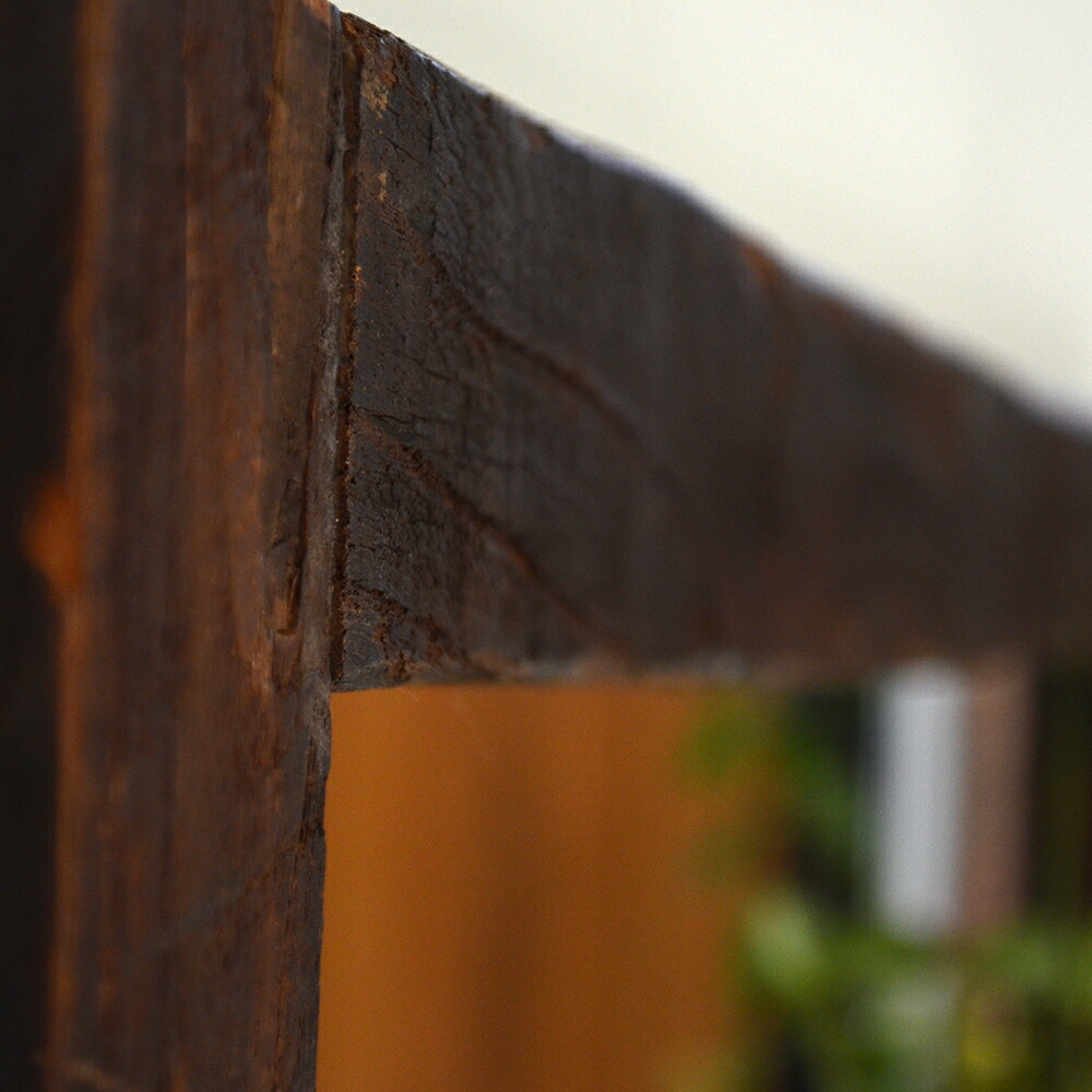 楽天市場】送料無料 オールドエルム・ミラー《パラナ》12チューブ