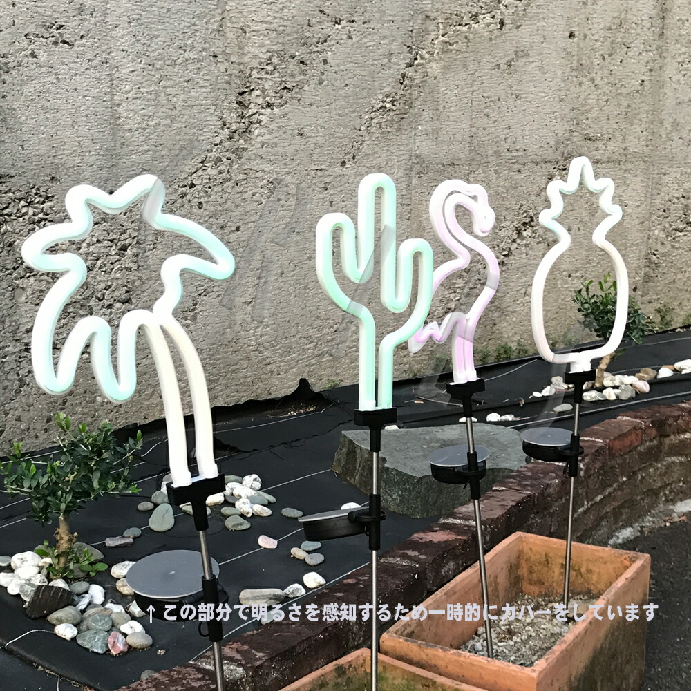 楽天市場】【DULTON】NB-0543CT SOLAR NEON LIGHT CACTUS FLAMINGO