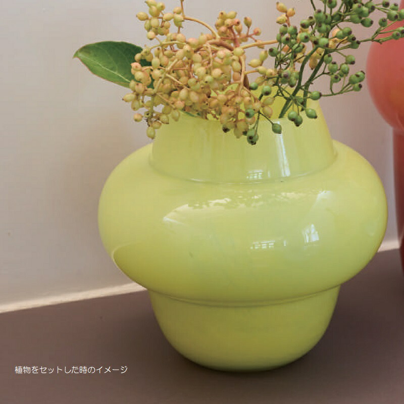 楽天市場】花・観葉植物用ポット タマラ 19 glass （1個入り） 67026