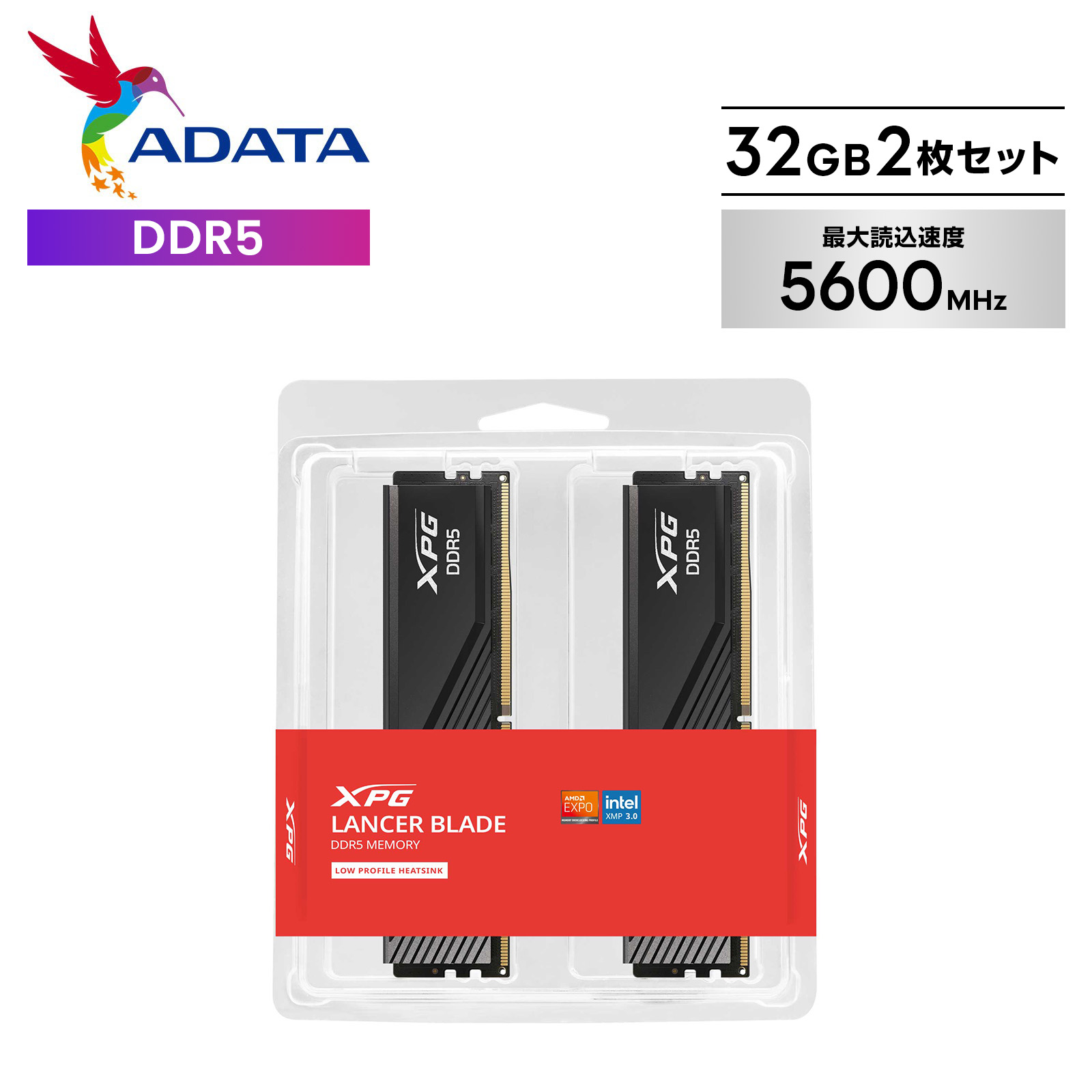 楽天市場】32gb ddr4-3200（メーカーADATA）の通販