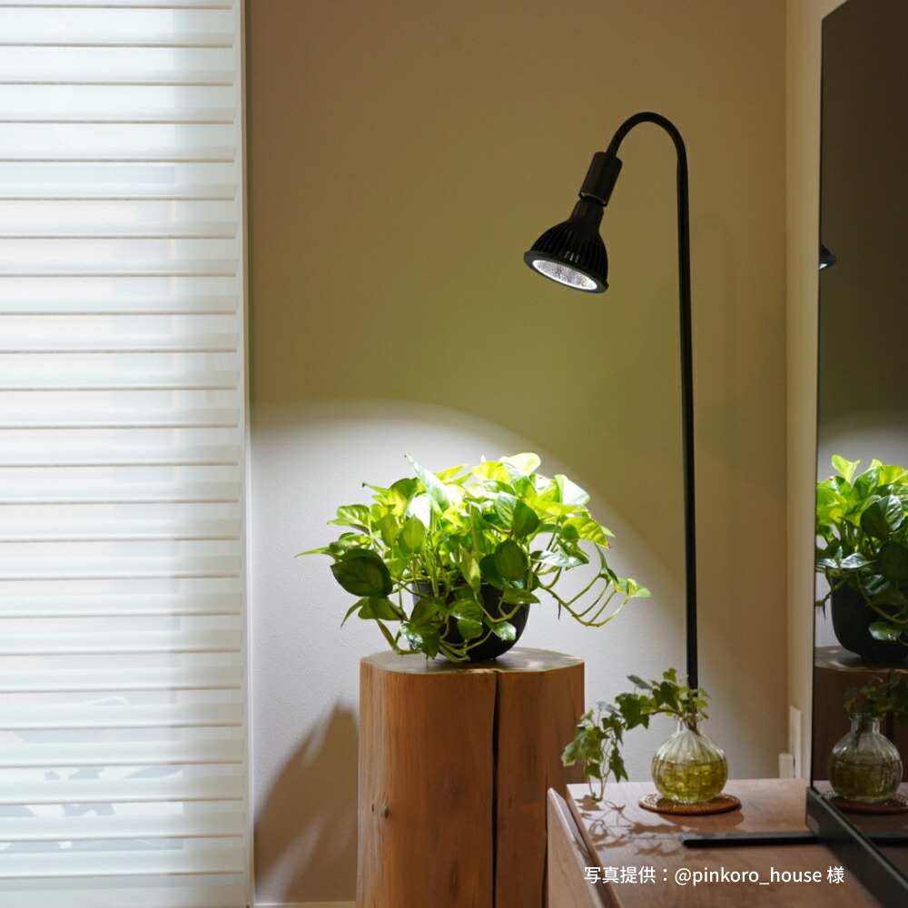 NEO AMATERAS 20W、AKONDデスクスタンド フロアスタンドSET