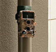 楽天市場】富士倉 デジタルトレイルカメラ FTC-002 防犯 IP65 microSD