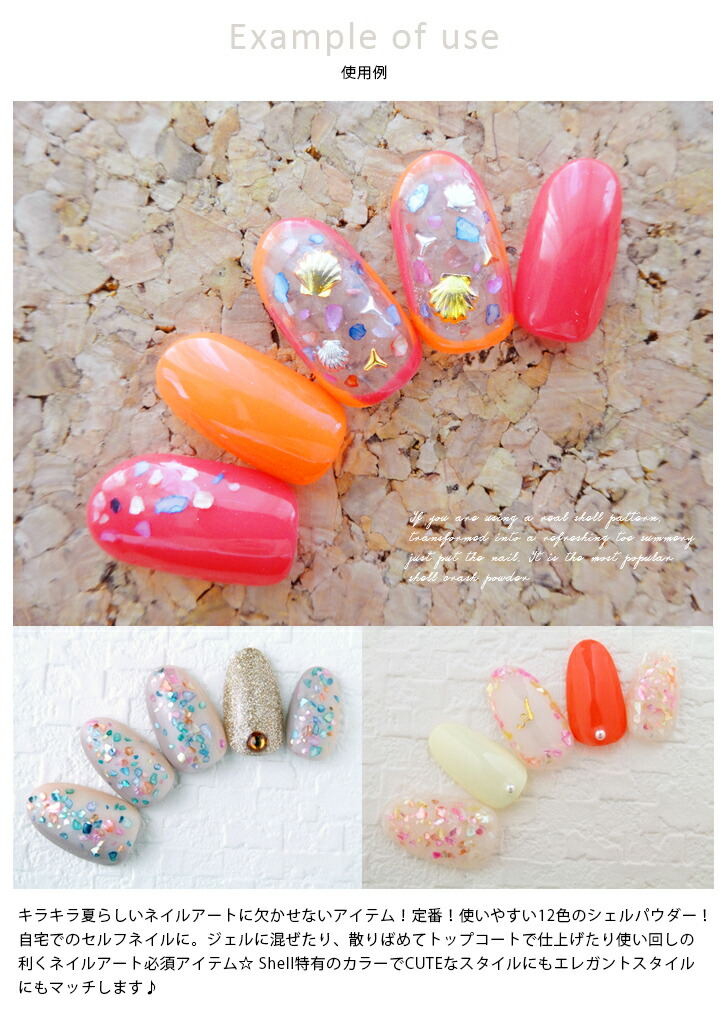 楽天市場】【クーポンで30％OFF】スーパーセール限定 【訳あり】シェル